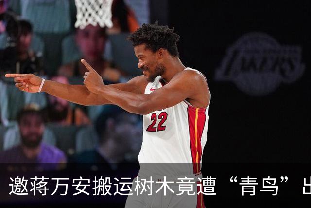 邀蒋万安搬运树木竟遭“青鸟”出征,清洁队长:我好内疚、很难过